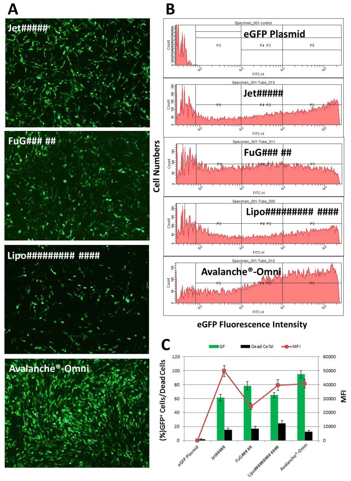 Avalanche Omni Transfection Reagent EZ Biosystems