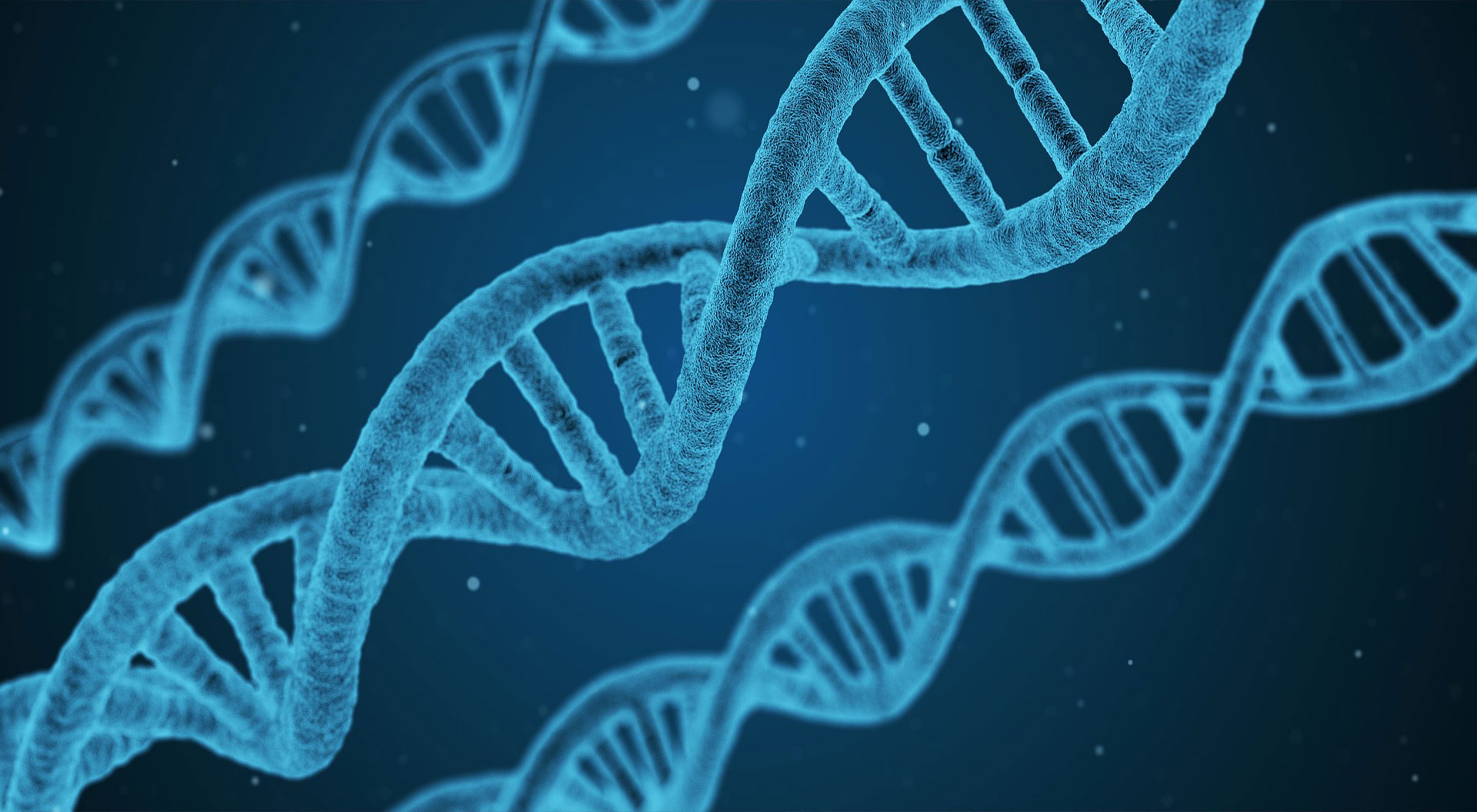 three blue colored strands of DNA on dark-blue background